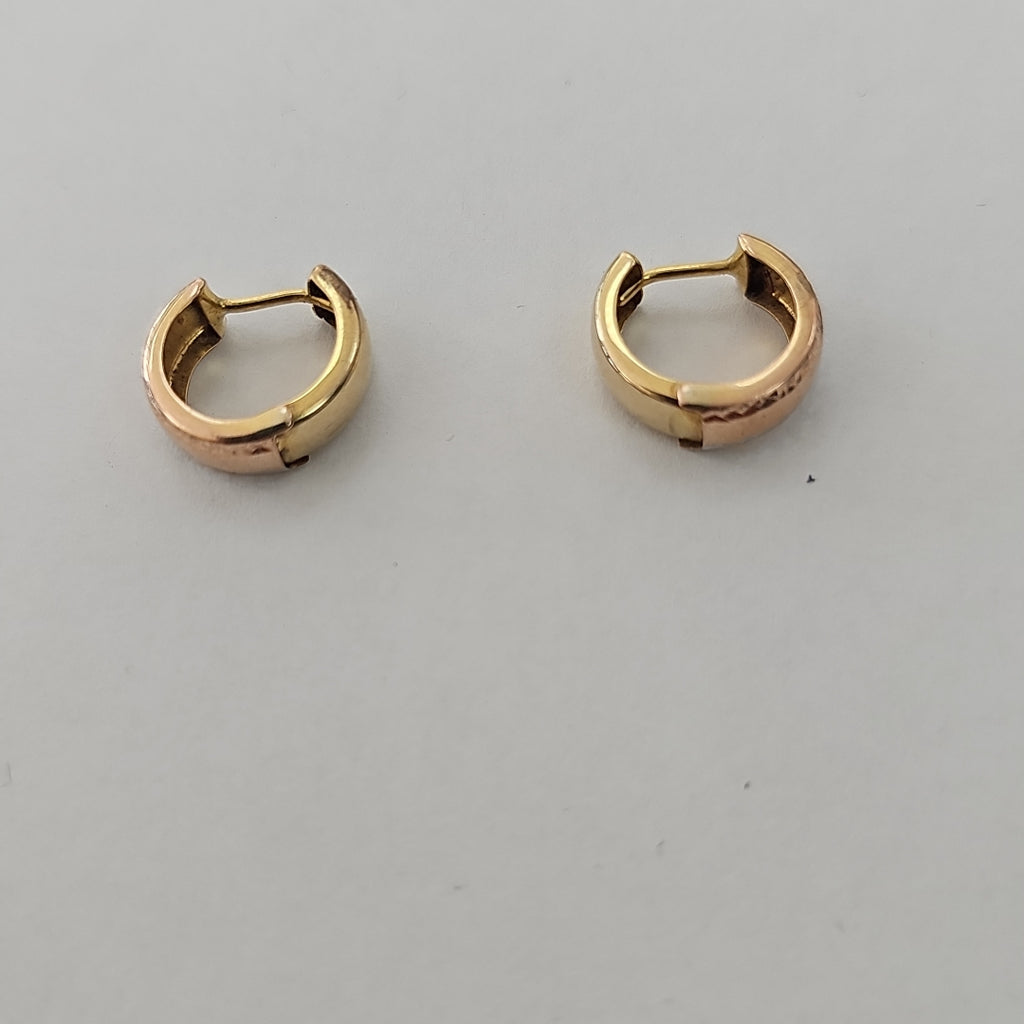 ARRACADAS PAR ORO 10 K 1,21 GRMS (SEMINUEVO)