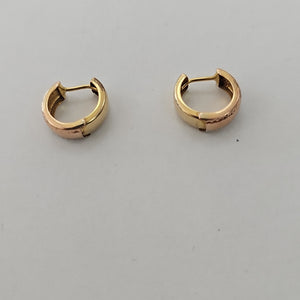 ARRACADAS PAR ORO 10 K 1,21 GRMS (SEMINUEVO)