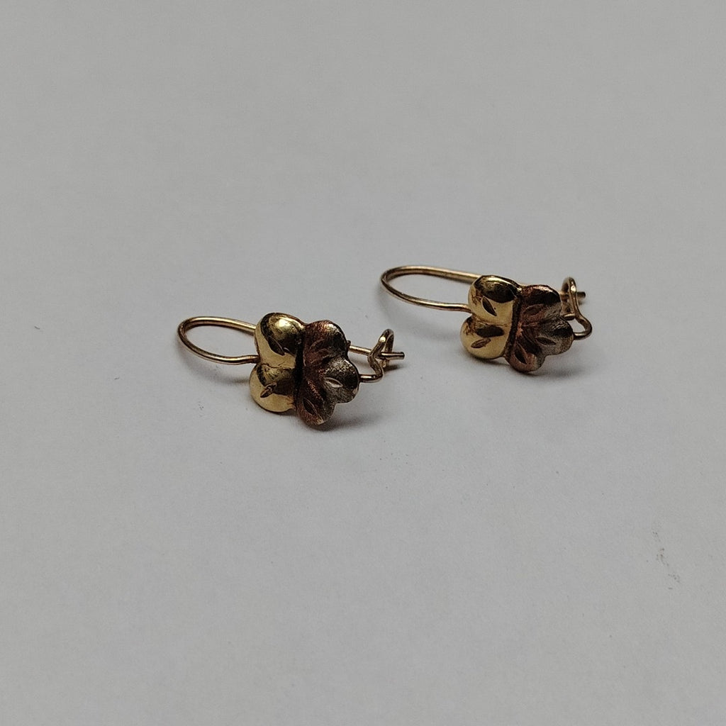 ARETES PAR ORO 10 K 1 GRMS (SEMINUEVO)
