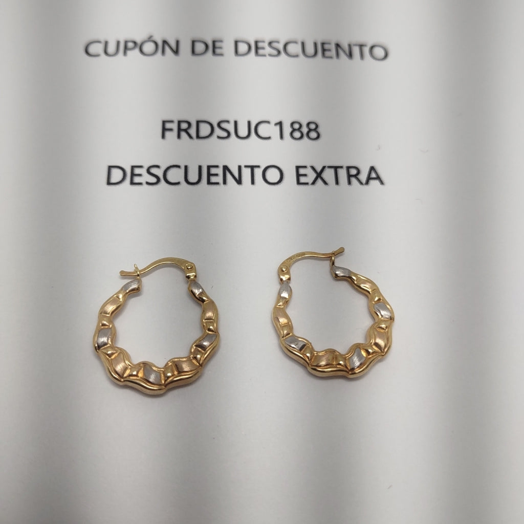 ARRACADAS ORO 14K 2 (NUEVO)
