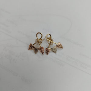 BROQUELES PAR ORO 10 K 1,40 GRMS (SEMINUEVO)