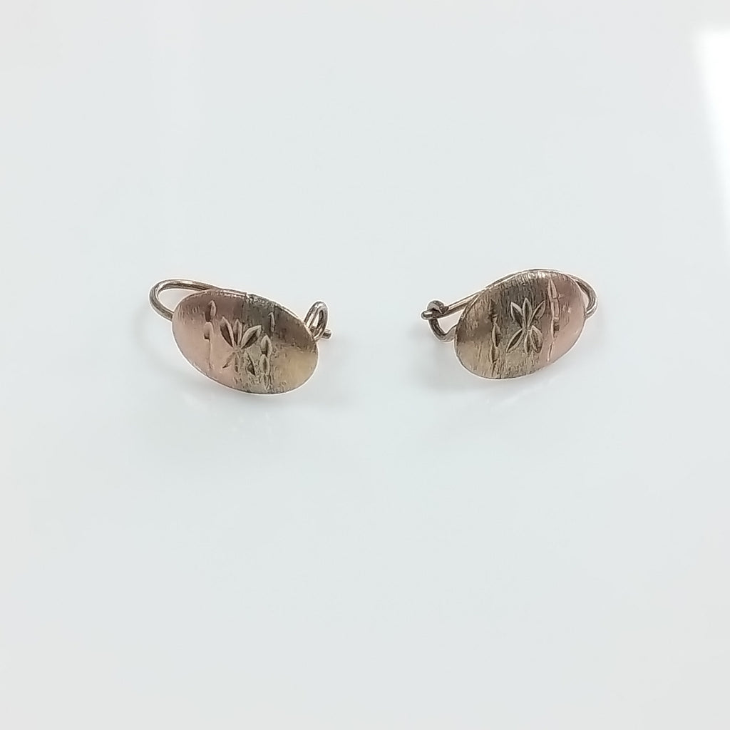 ARETES PAR ORO 10 K 1 GRMS (SEMINUEVO)