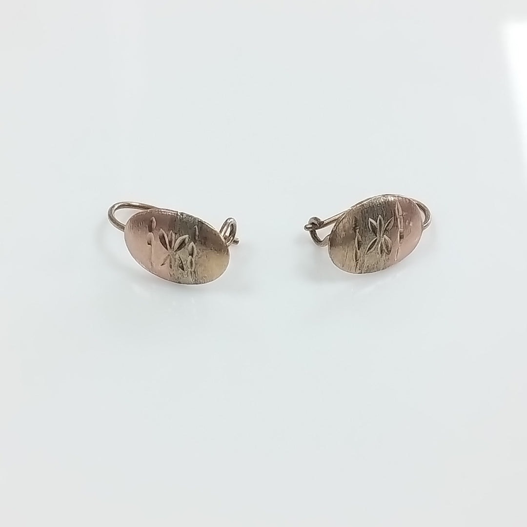 ARETES PAR ORO 10 K 1 GRMS (SEMINUEVO)
