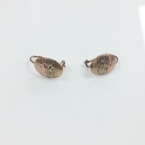 ARETES PAR ORO 10 K 1 GRMS (SEMINUEVO)