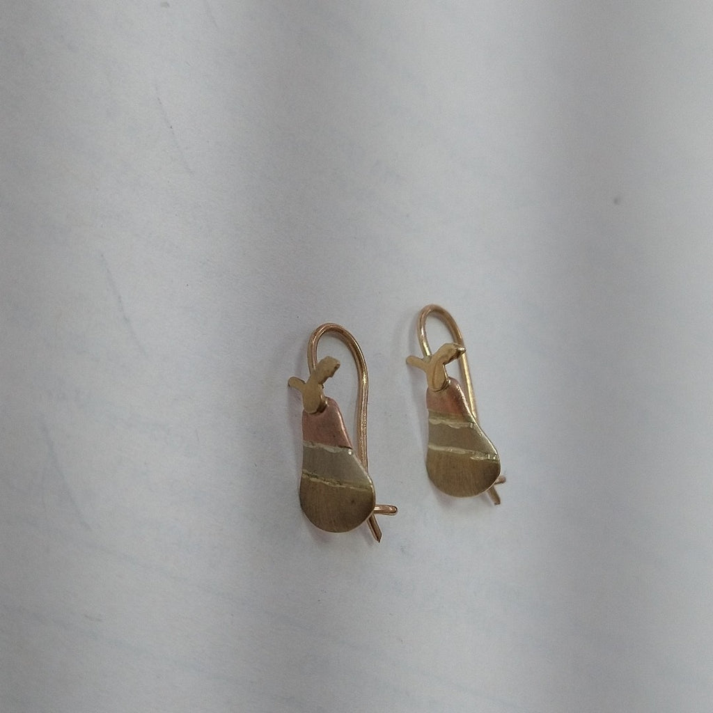 ARETES PAR ORO 10 K 1 GRMS (SEMINUEVO)