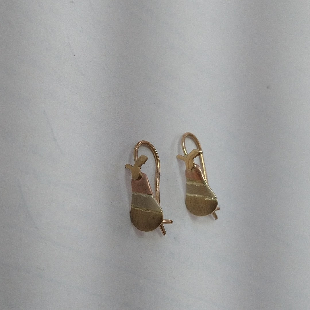 ARETES PAR ORO 10 K 1 GRMS (SEMINUEVO)
