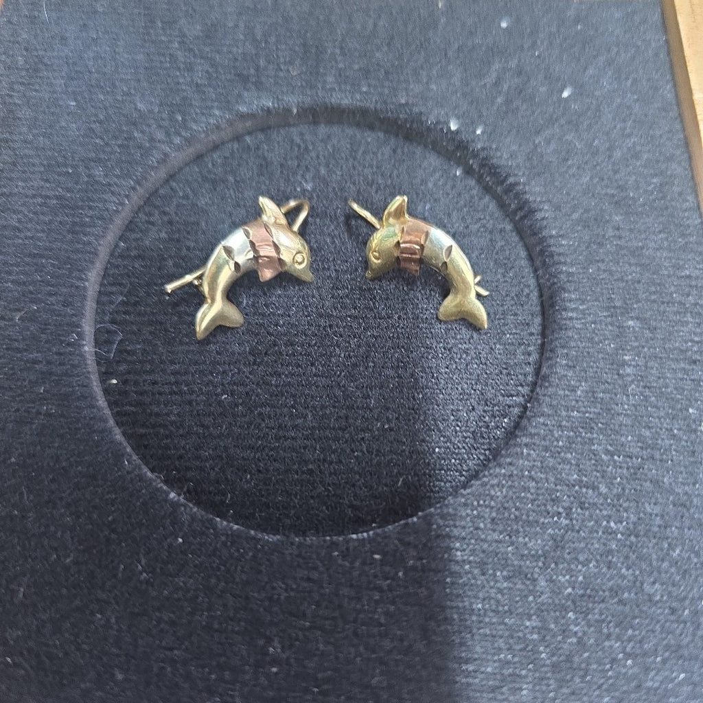 ARETES PAR ORO 10 K 1.3 GRMS (SEMINUEVO)