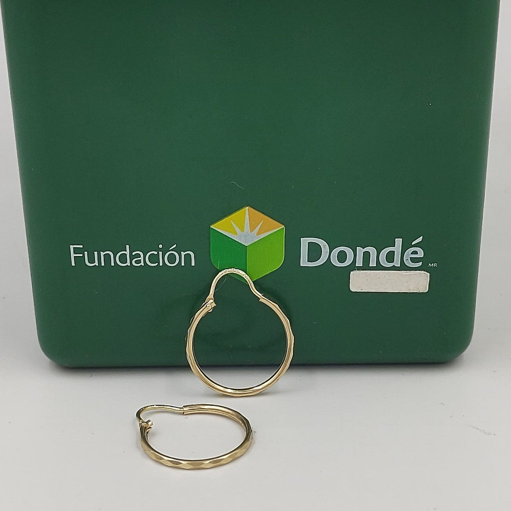 ARRACADAS PAR ORO 10 K 0.7 GRMS (SEMINUEVO)