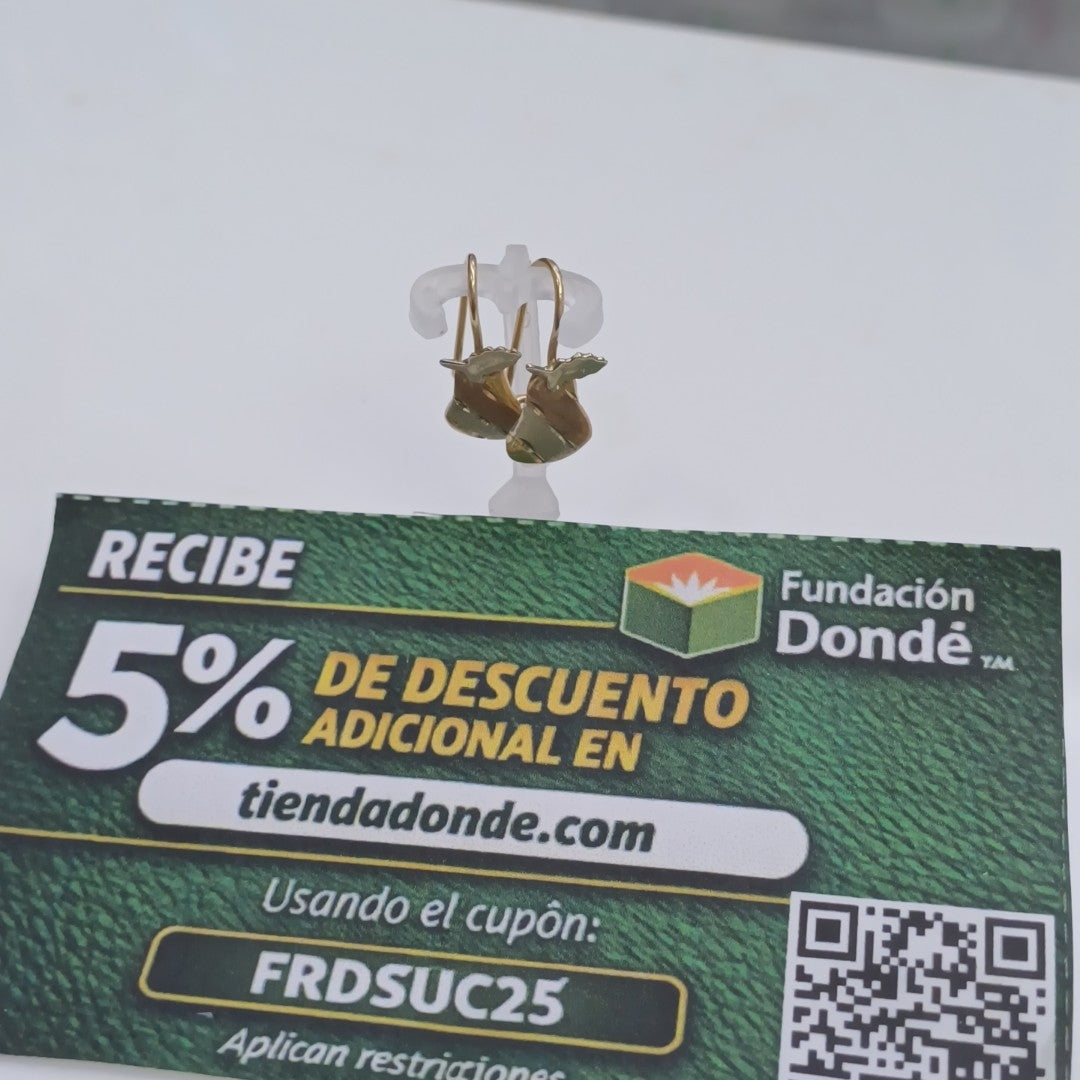 ARETES PAR ORO 10 K 1 GRMS (SEMINUEVO)