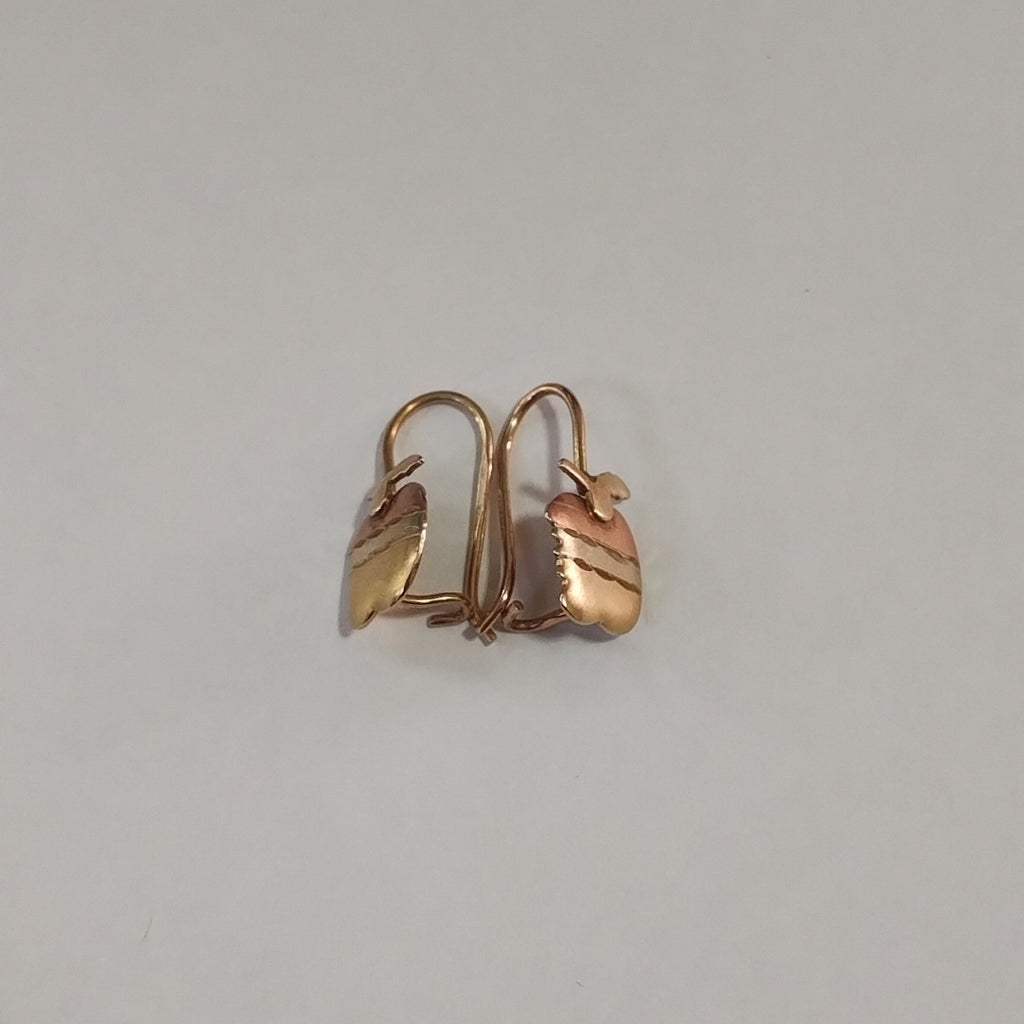 ARETES PAR ORO 10 K 1.3 GRMS (SEMINUEVO)