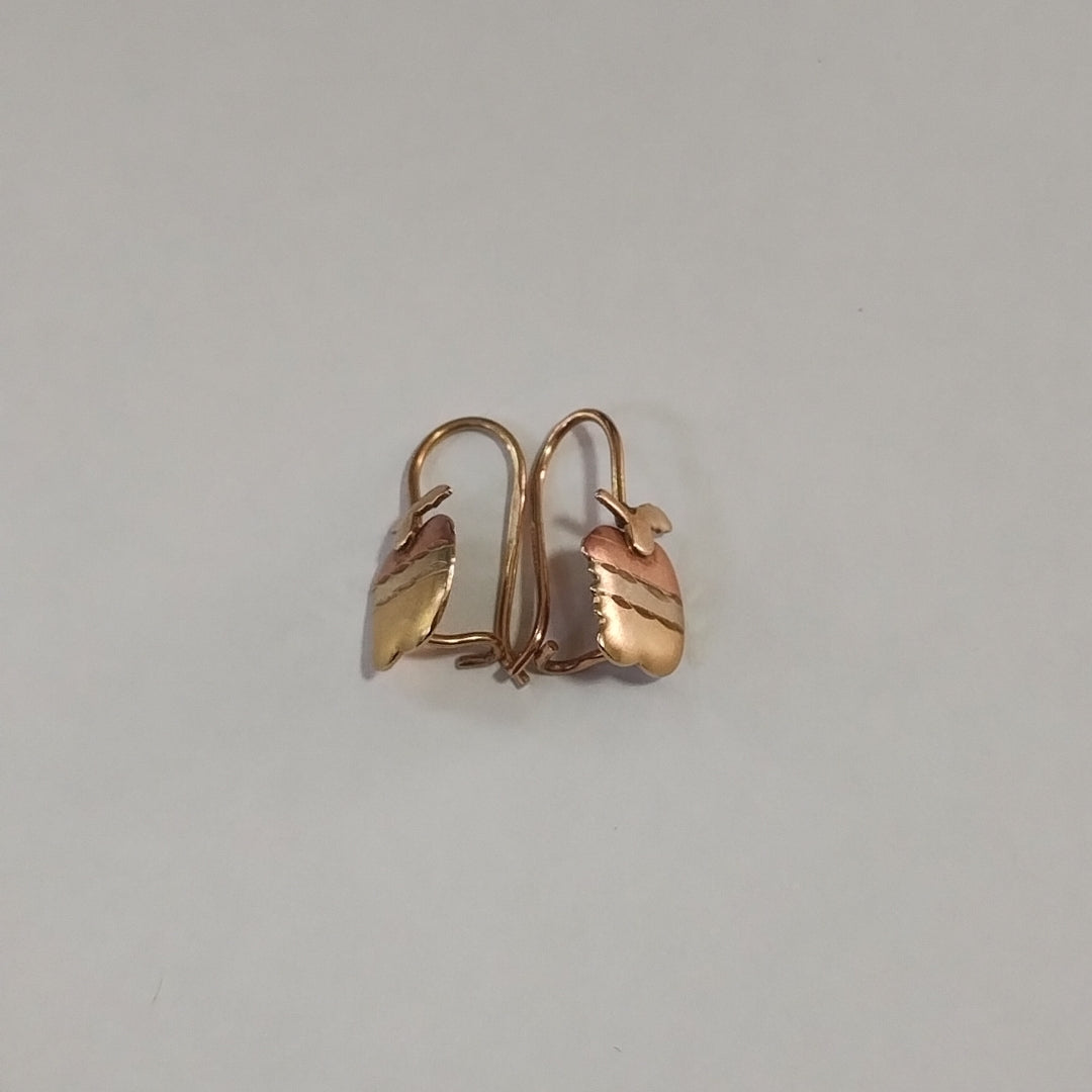 ARETES PAR ORO 10 K 1.3 GRMS (SEMINUEVO)