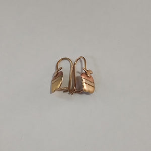 ARETES PAR ORO 10 K 1.3 GRMS (SEMINUEVO)