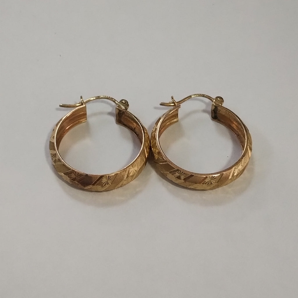 ARRACADAS PAR ORO 10 K 2.5 GRMS (SEMINUEVO)