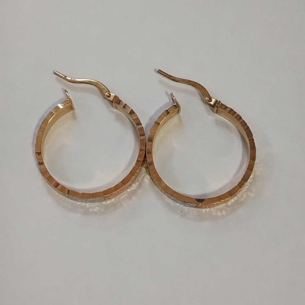 ARRACADAS PAR ORO 10 K 1.9 GRMS (SEMINUEVO)