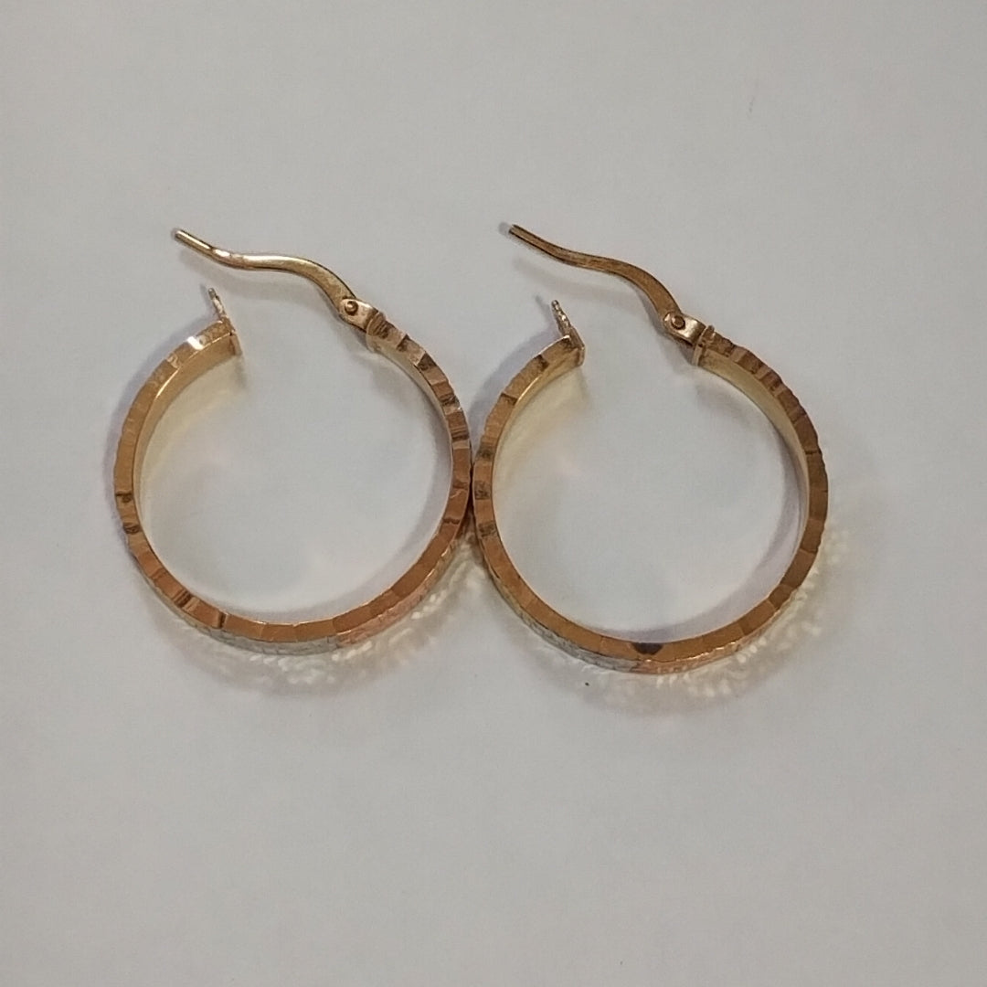 ARRACADAS PAR ORO 10 K 1.9 GRMS (SEMINUEVO)