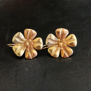 ARETES PAR ORO 10 K 3.4 GRMS (SEMINUEVO)