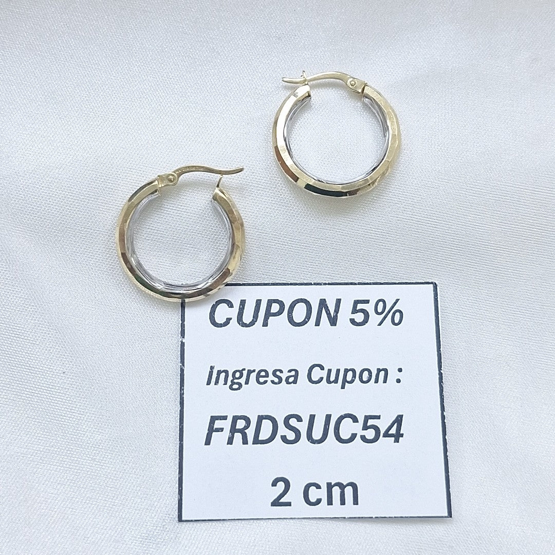 ARRACADAS PAR ORO 10 K 1.8 GRMS (SEMINUEVO)
