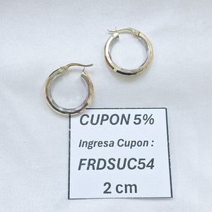 ARRACADAS PAR ORO 10 K 1.8 GRMS (SEMINUEVO)