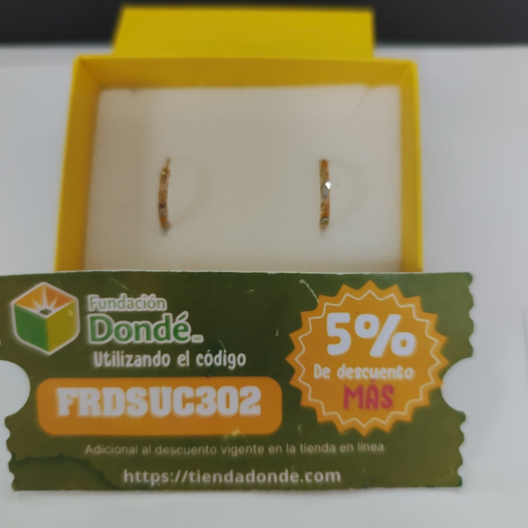 ARRACADAS PAR ORO 10 K 1 GRMS (SEMINUEVO)