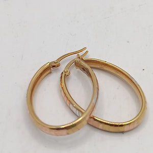 ARRACADAS PAR ORO 10 K 2.2 GRMS (SEMINUEVO)