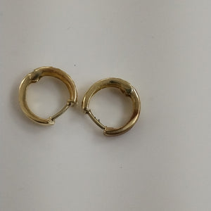 ARRACADAS PAR ORO 10 K 0.9 GRMS (SEMINUEVO)