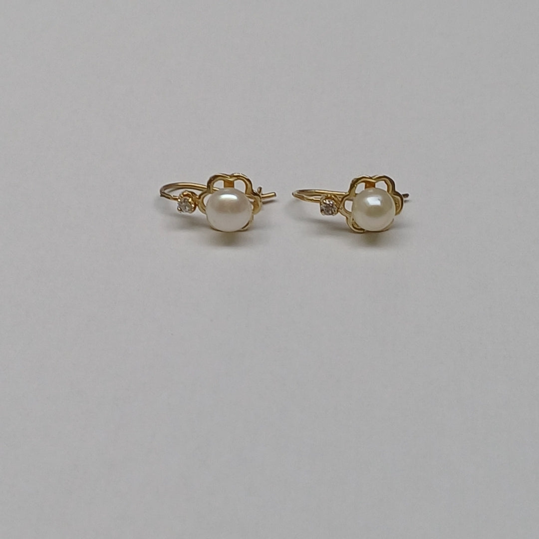 ARETES PAR ORO 10 K 1.3 GRMS (SEMINUEVO)