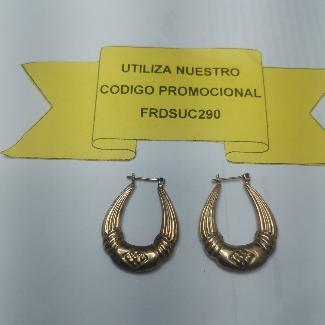 ARRACADAS PAR ORO 10 K 2.7 GRMS (SEMINUEVO)