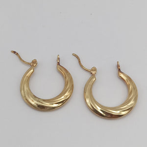 ARETES PAR ORO 10 K 1.7 GRMS (SEMINUEVO)