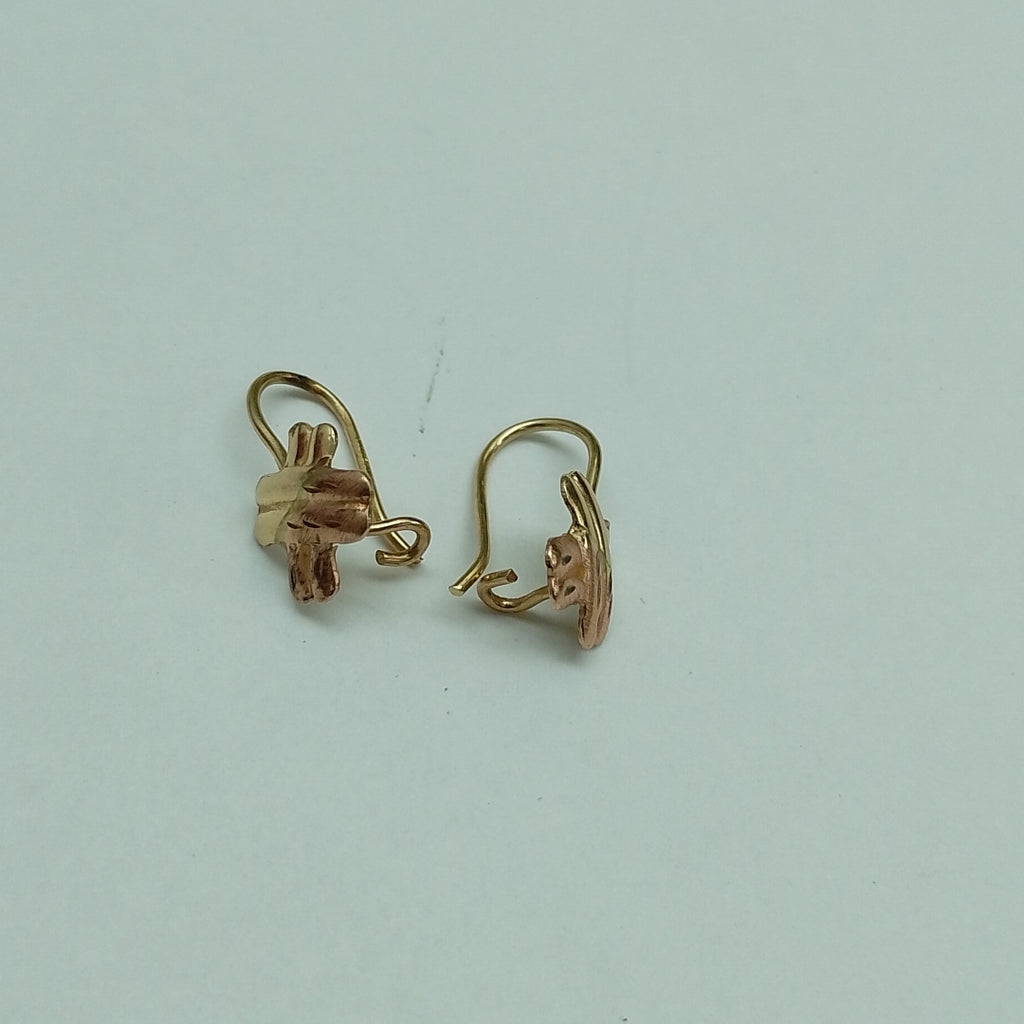 ARETES PAR ORO 10 K 1,00 GRMS (SEMINUEVO)