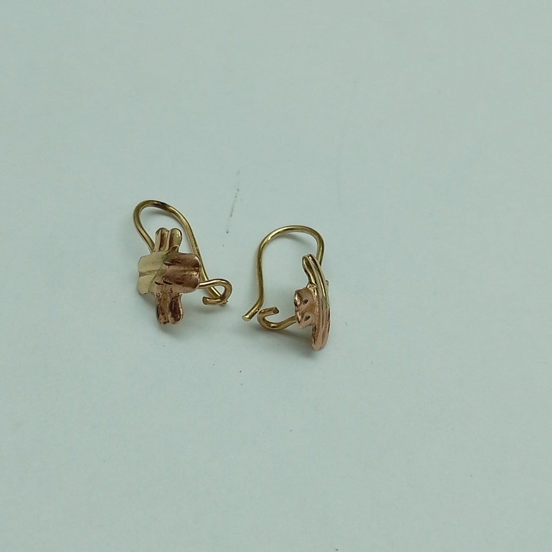 ARETES PAR ORO 10 K 1,00 GRMS (SEMINUEVO)