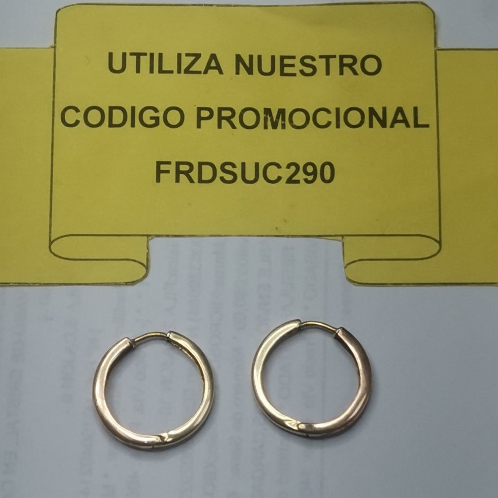ARETES PAR ORO 10 K 1.9 GRMS (SEMINUEVO)