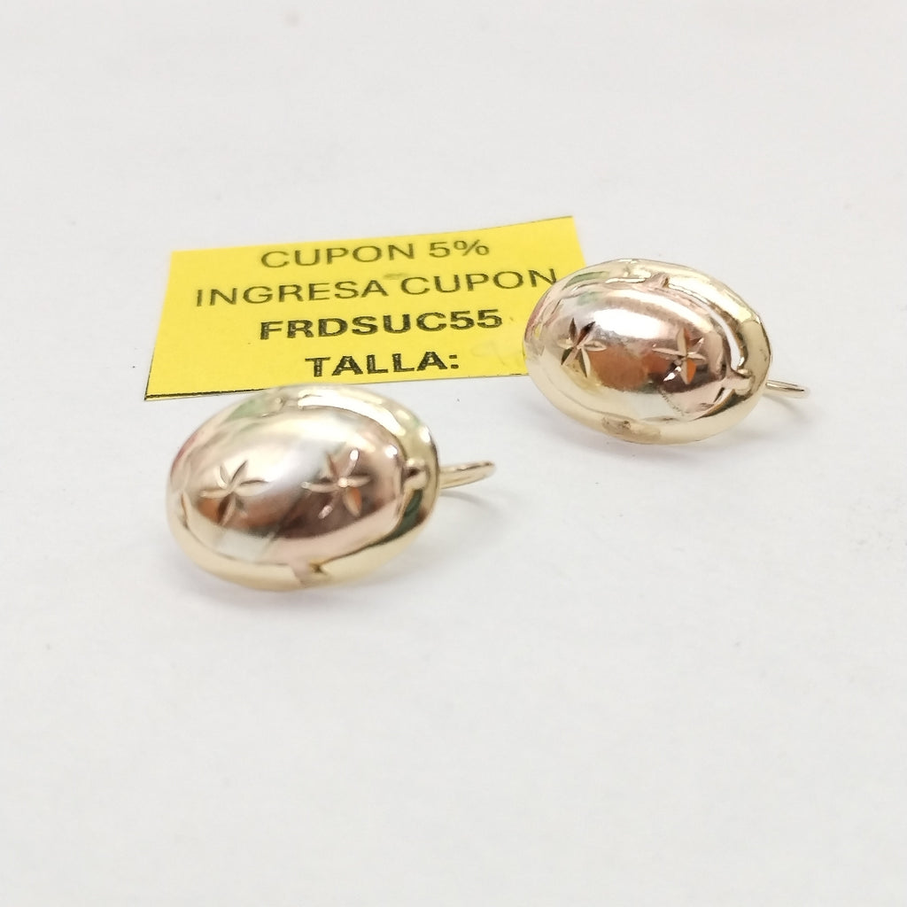 ARETES PAR ORO 10 K 1,40 GRMS (SEMINUEVO)