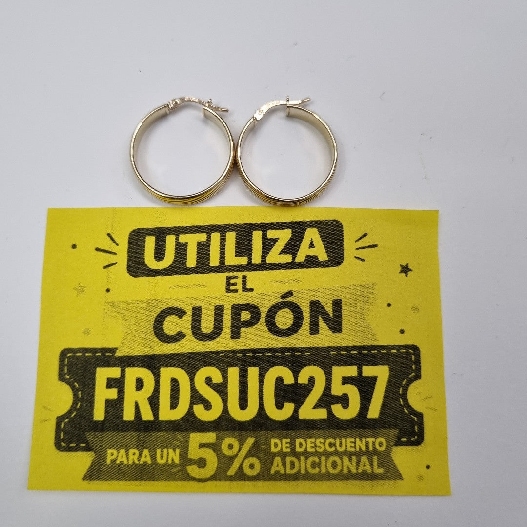 ARRACADAS ORO 10K 2 (NUEVO)