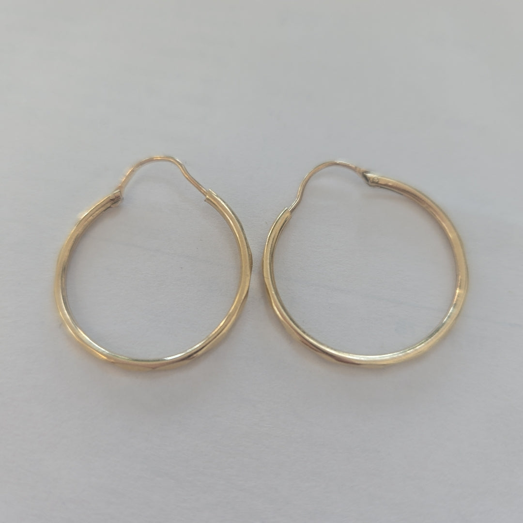 ARRACADAS PAR ORO 10 K 1.6 GRMS (SEMINUEVO)