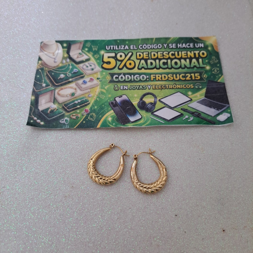 ARRACADAS PAR ORO 10 K 1,70 GRMS (SEMINUEVO)