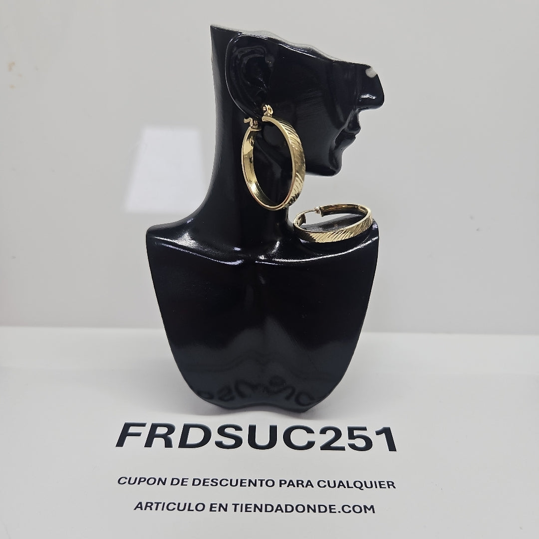 ARETES ARRACADA ASTRIADA 10K 2.3 GR (NUEVO)