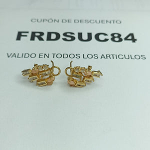 ARETES PAR ORO 10 K 4 GRMS (SEMINUEVO)