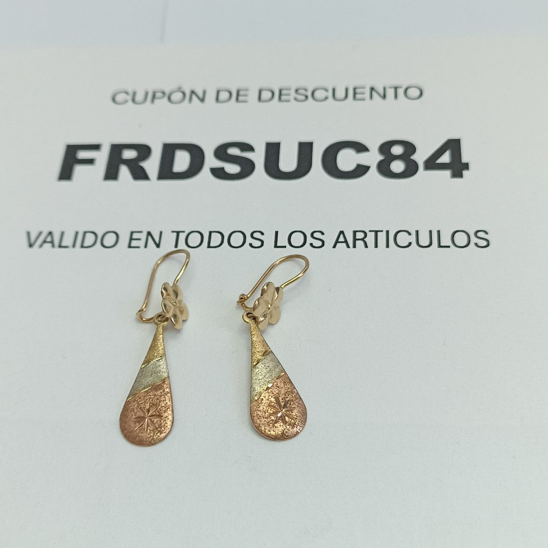 ARETES PAR ORO 10 K 1.4 GRMS (SEMINUEVO)