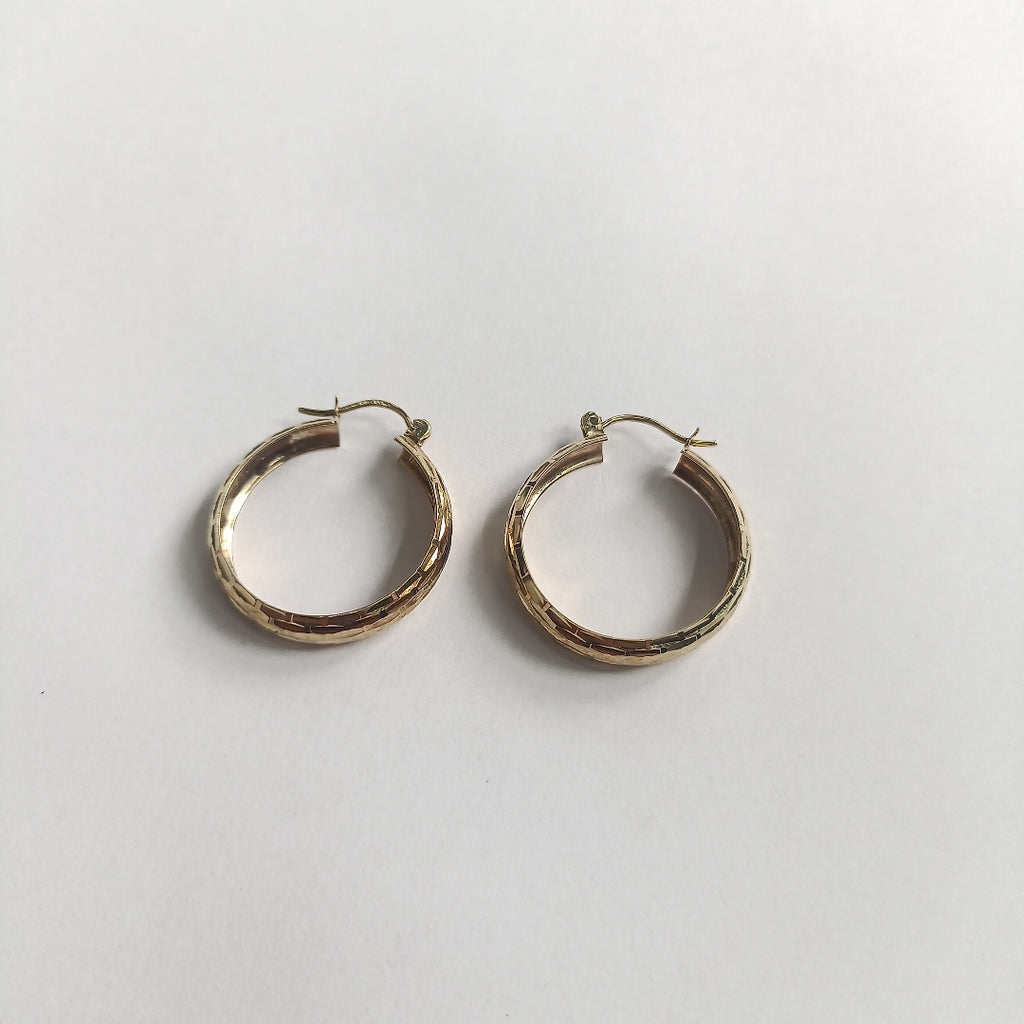 ARRACADAS PAR ORO 10 K 3.3 GRMS (SEMINUEVO)