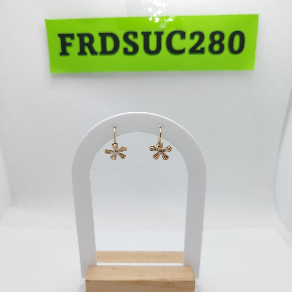 ARETES PAR ORO 10 K 0.6 GRMS (SEMINUEVO)