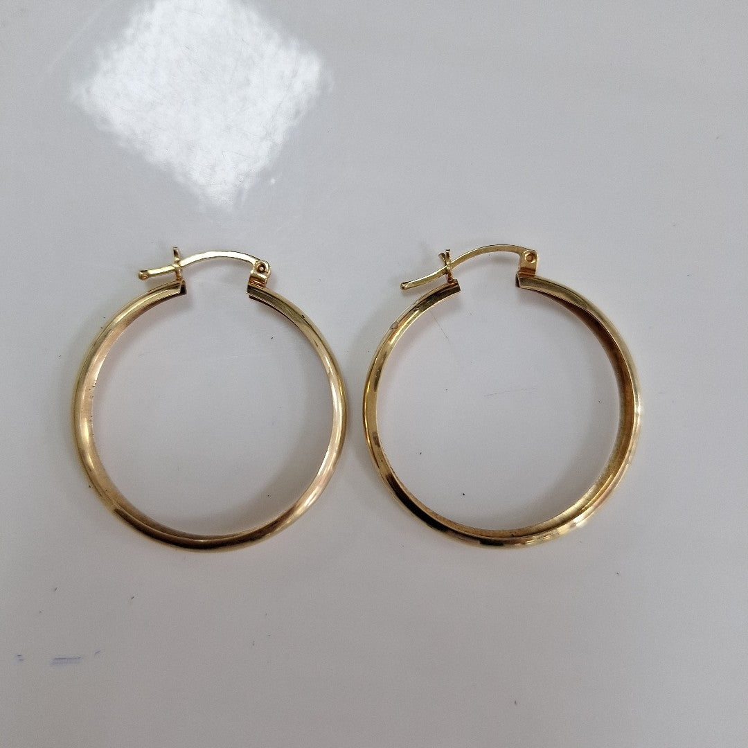 ARRACADAS PAR ORO 10 K 2,90 GRMS (SEMINUEVO)