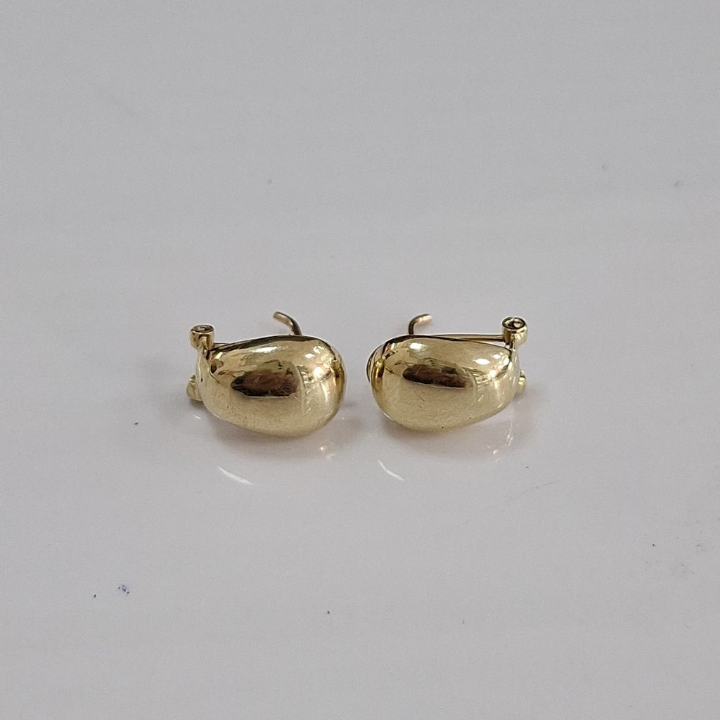 ARETES PAR ORO 10 K 2.1 GRMS (SEMINUEVO)