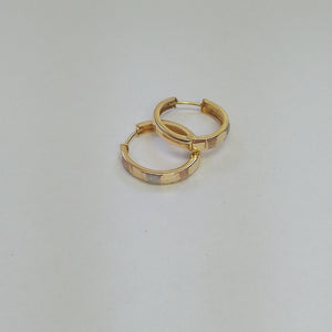 ARRACADAS PAR ORO 10 K 1.6 GRMS (SEMINUEVO)