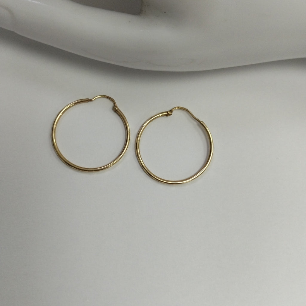 ARRACADAS PAR ORO 10 K 1.4 GRMS (SEMINUEVO)