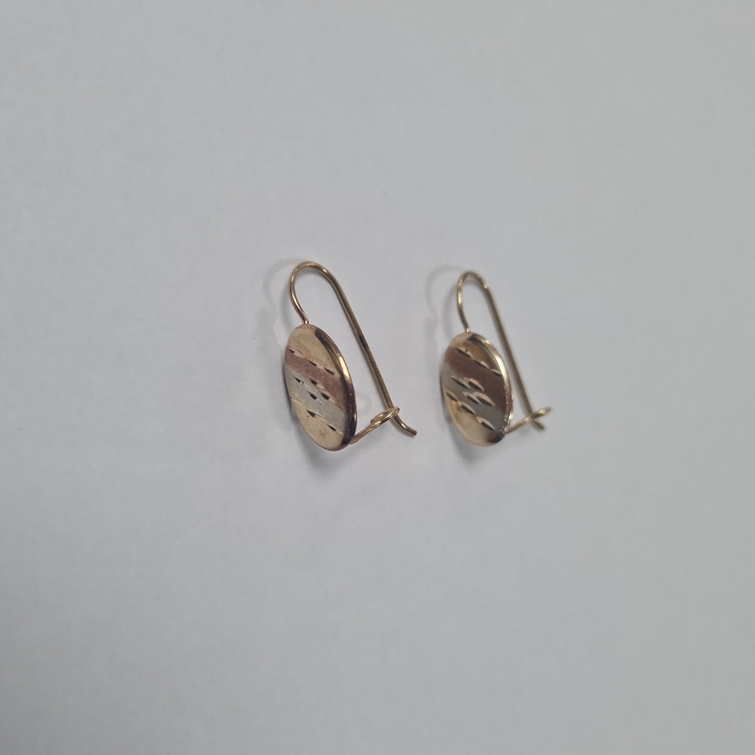 ARETES PAR ORO 10 K 1 GRMS (SEMINUEVO)