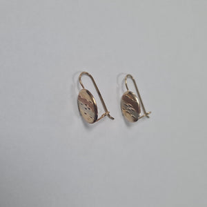 ARETES PAR ORO 10 K 1 GRMS (SEMINUEVO)