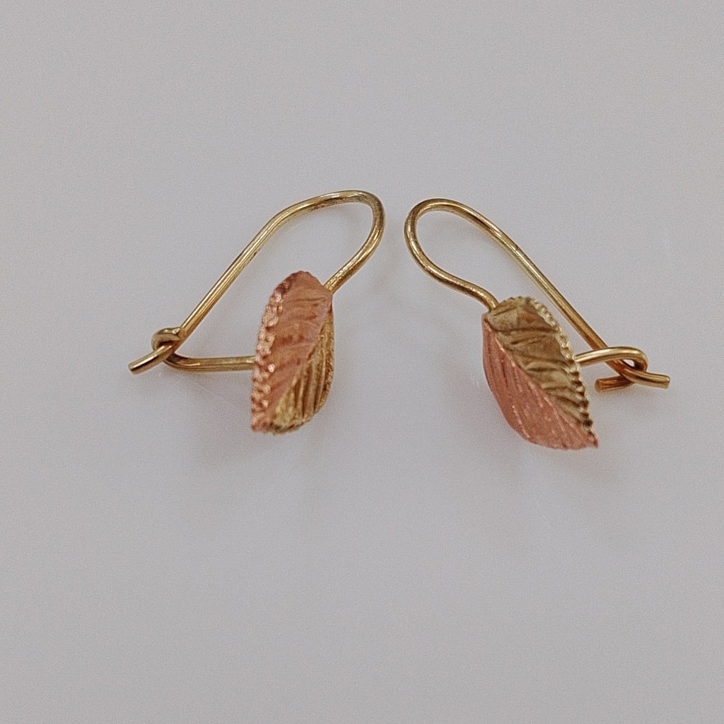 ARETES PAR ORO 10 K 1 GRMS (SEMINUEVO)