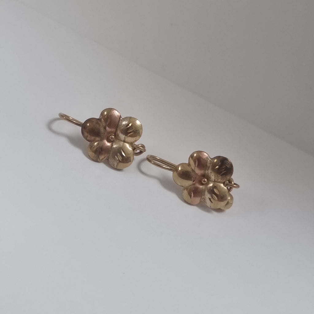 ARETES PAR ORO 10 K 2.5 GRMS (SEMINUEVO)