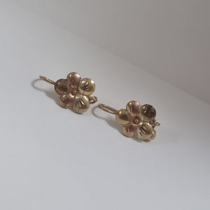 ARETES PAR ORO 10 K 2.5 GRMS (SEMINUEVO)
