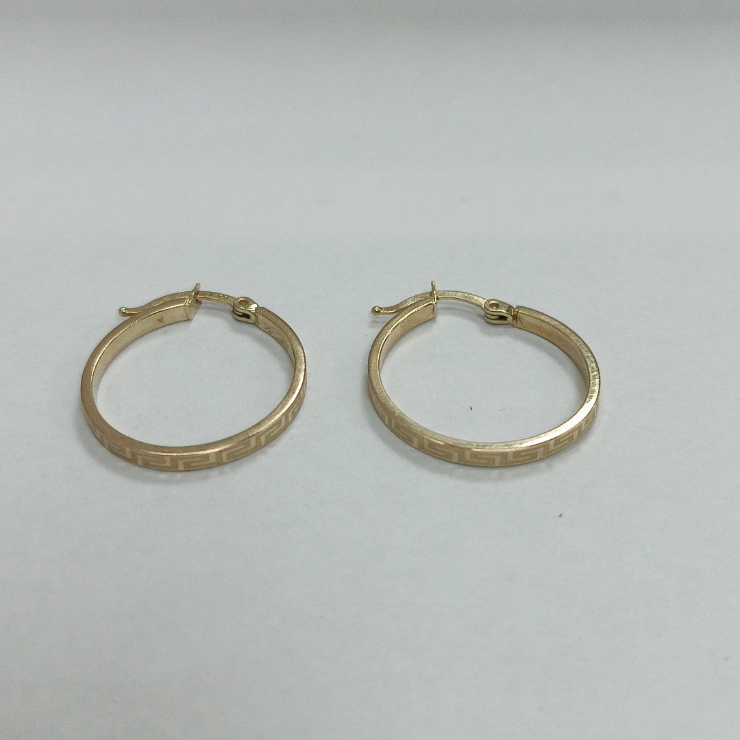 ARRACADAS PAR ORO 10 K 1.4 GRMS (SEMINUEVO)
